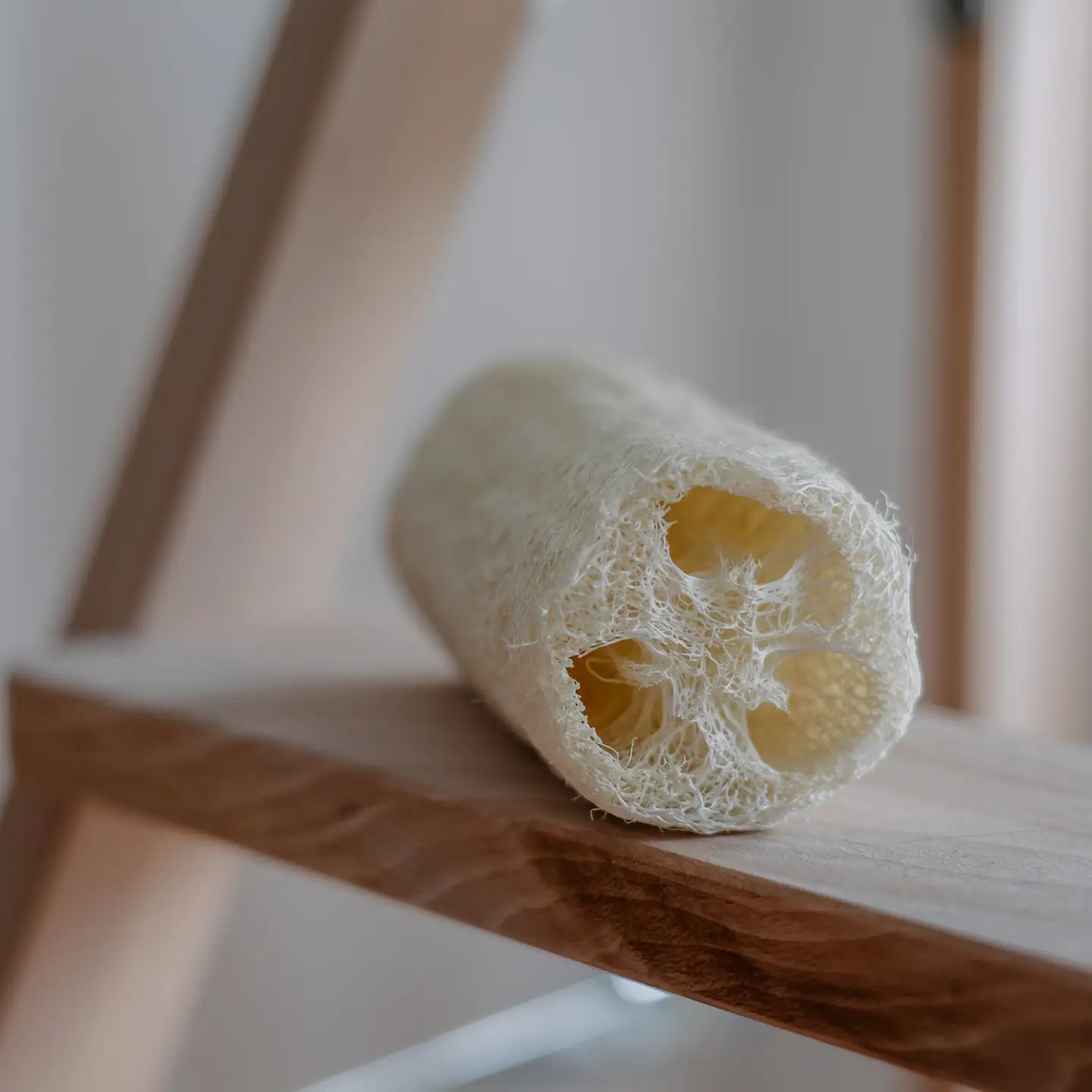 Croll & Denecke | Loofah Sponge - Image 2