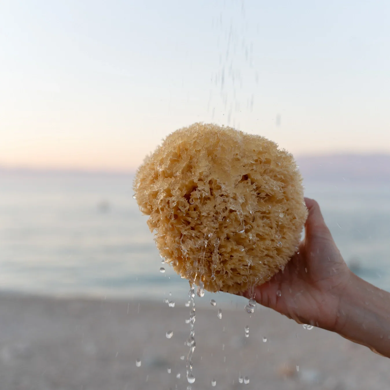 Croll & Denecke | Natural Sponge - Image 2