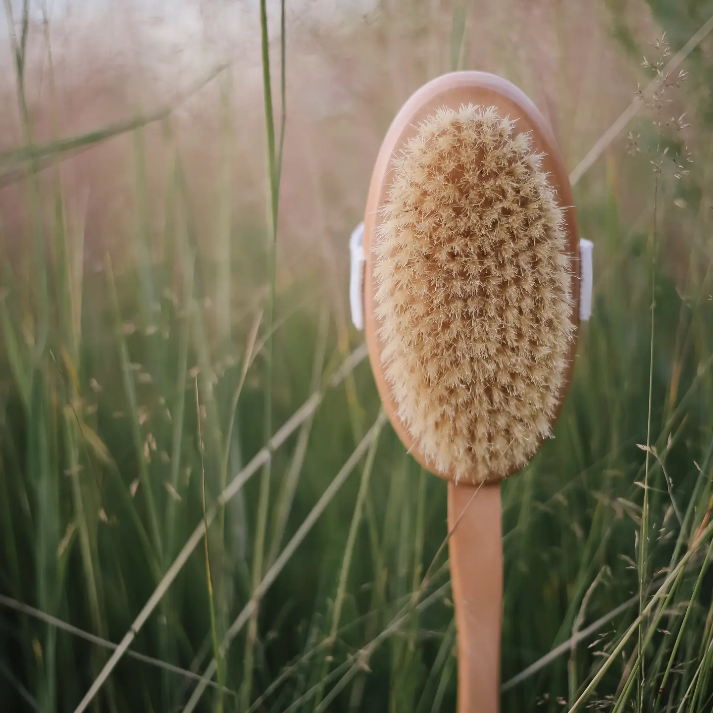 Croll & Denecke | Wooden Body Brush With Handle - Image 2