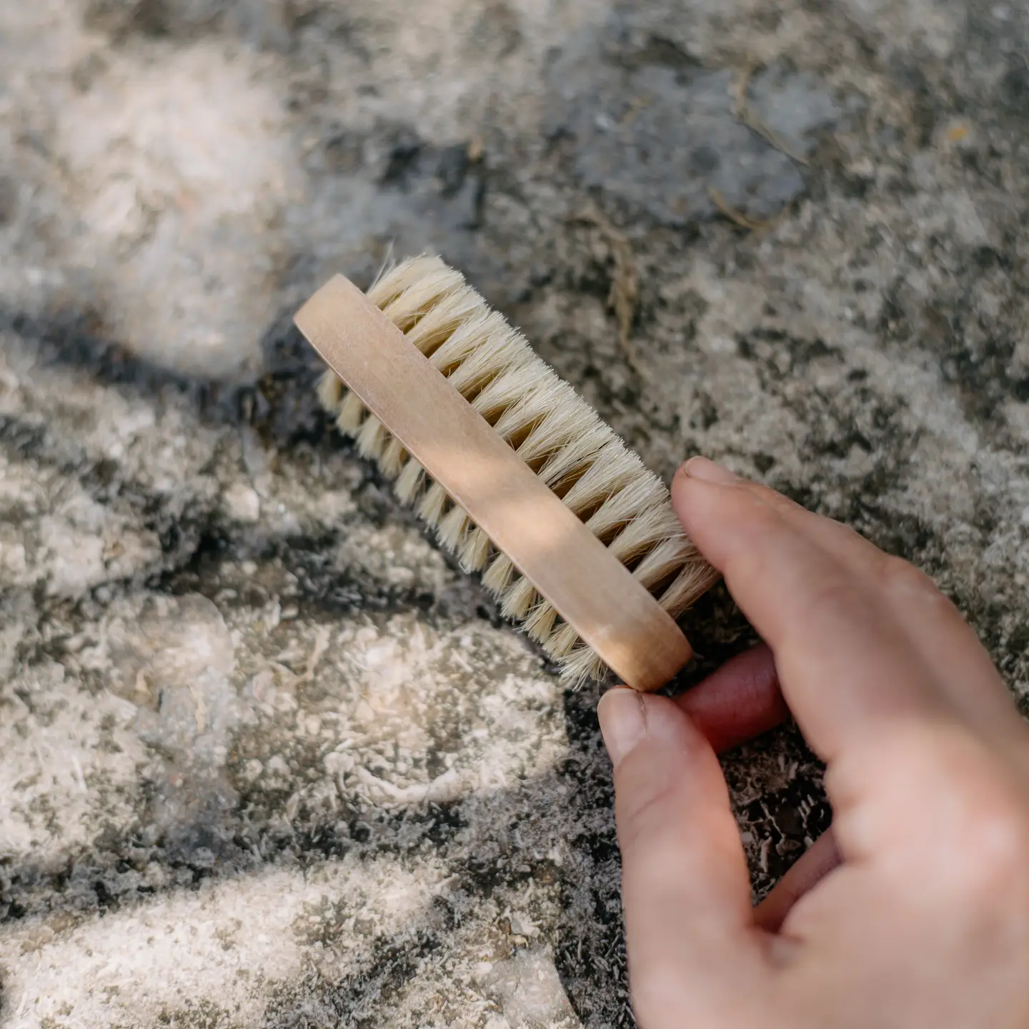 Croll & Denecke | Nail Brush - Natural Bristles - Image 2
