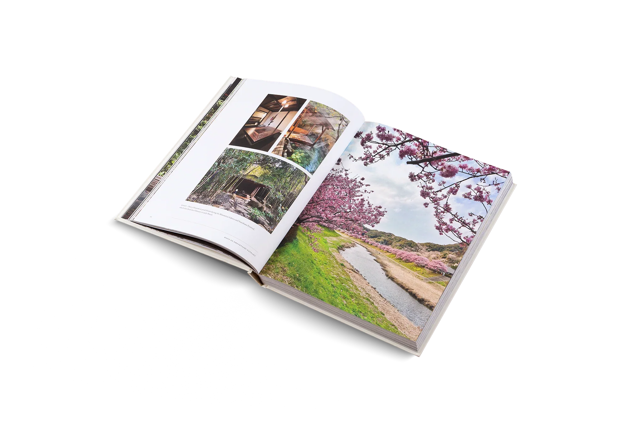 Gestalten | Onsen and Ryokans of Japan Book - Image 3