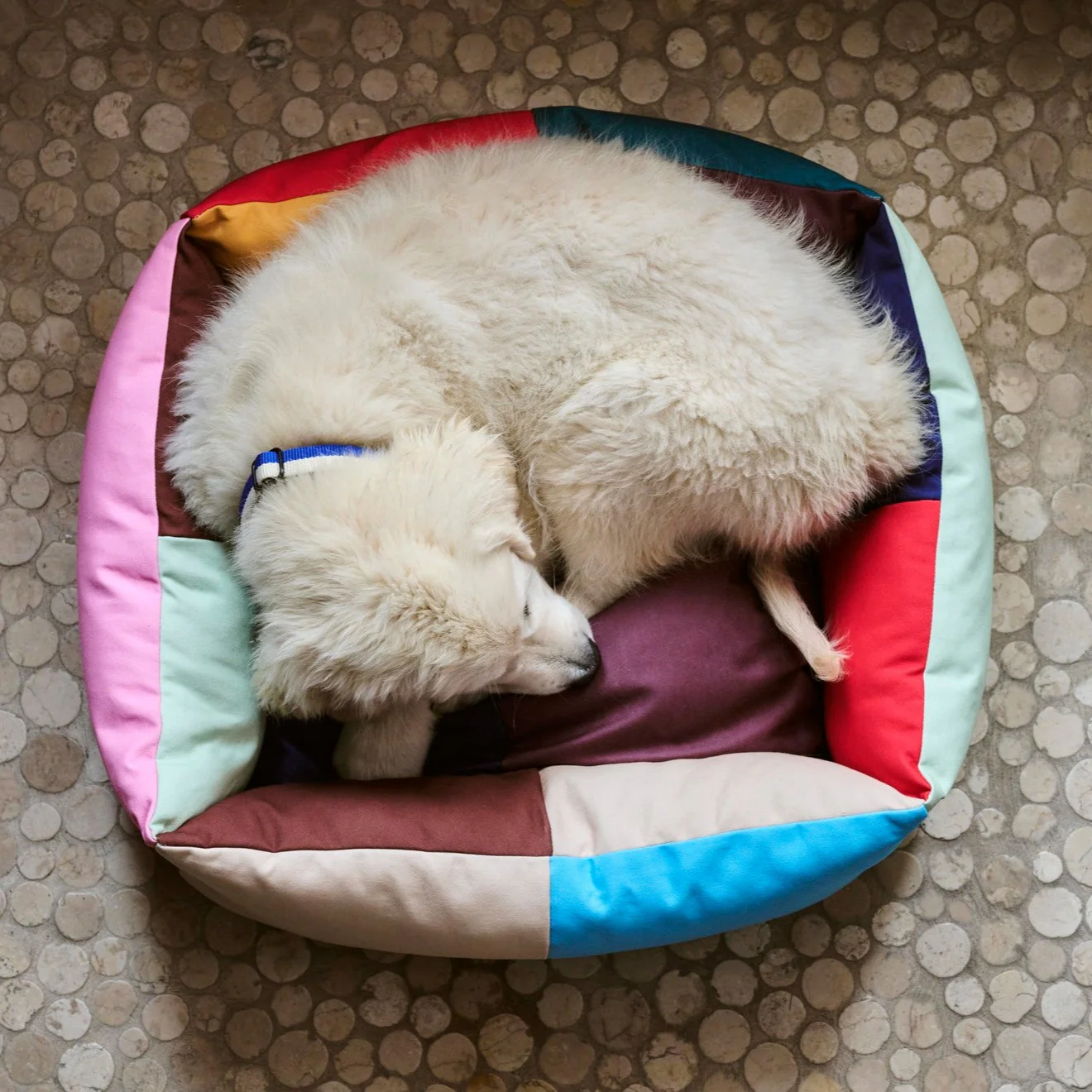 HAY| Dogs Bed - Medium - Multi - Image 2