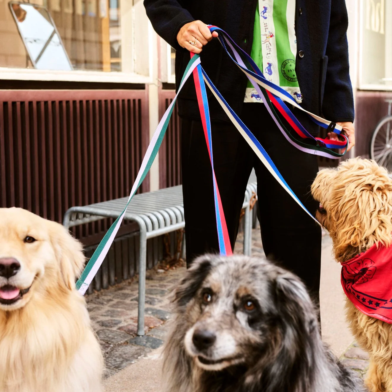 HAY | Dogs Leash - Flat - Black/White Check - Image 2